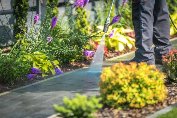 Best Driveway Pressure Washing  in Centre Hall, PA